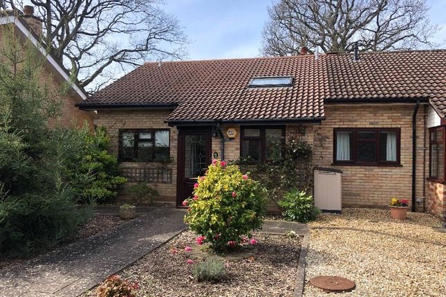 Thumbnail Bungalow for sale in Rothbury Park, New Milton, Hampshire