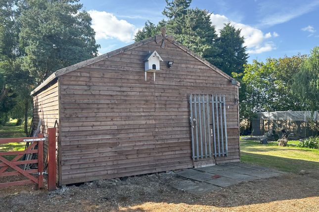 Detached bungalow for sale in Broadgate, Sutton St. Edmund