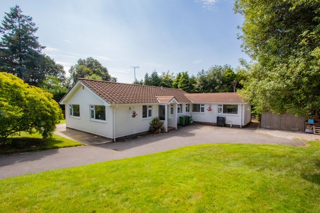 3-bed bungalow on Ashley View, West Hill Road, West Hill, £660,000