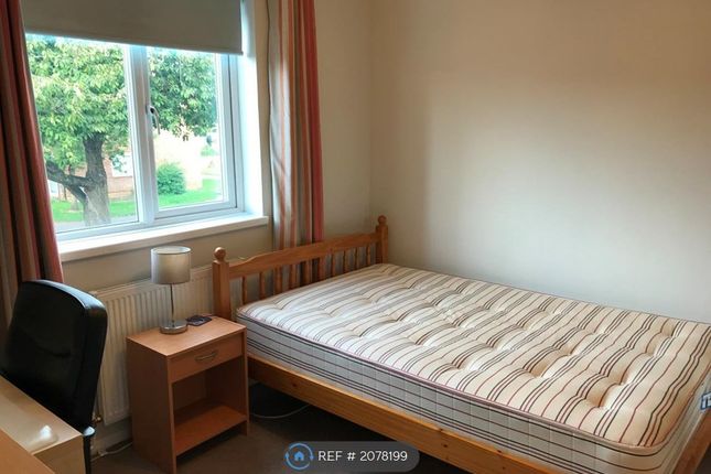Thumbnail Room to rent in Bouverie Walk, Northampton