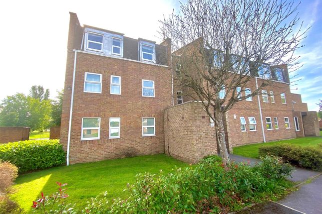 Ynb8oshq1s8p6m Ynb8oshq1s8p6m