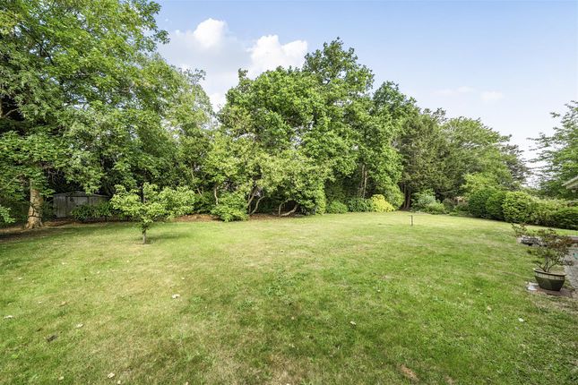 24, Floral Farm, Wimborne photo 4