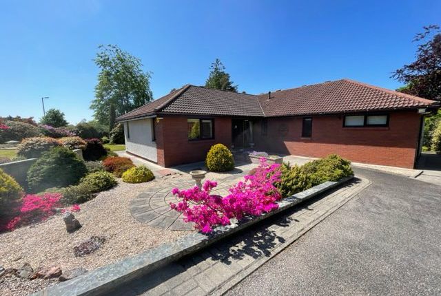 Thumbnail Detached bungalow to rent in Myrtlefield Lane, Westhill, Inverness