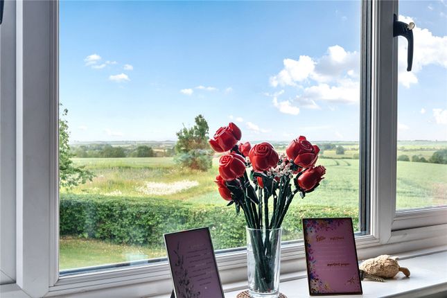 Rural Views
