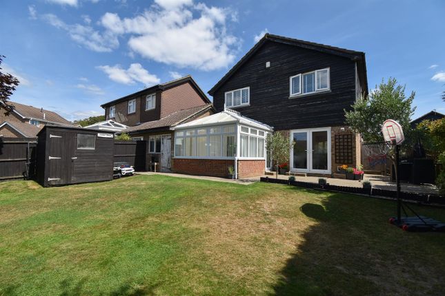 Rear Elevation