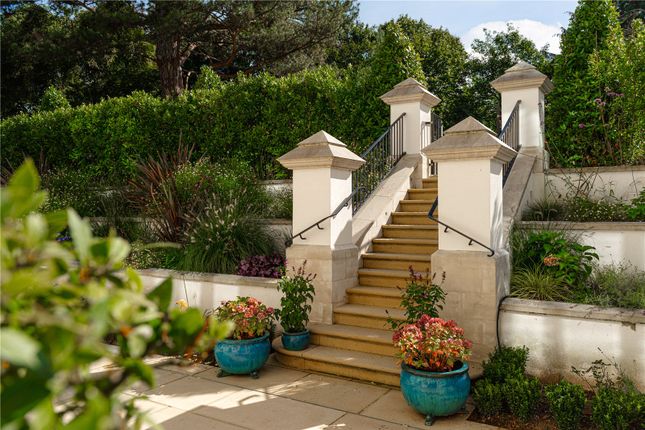 Terrace Garden