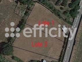 Land for sale in Borralha, Águeda E Borralha, Águeda