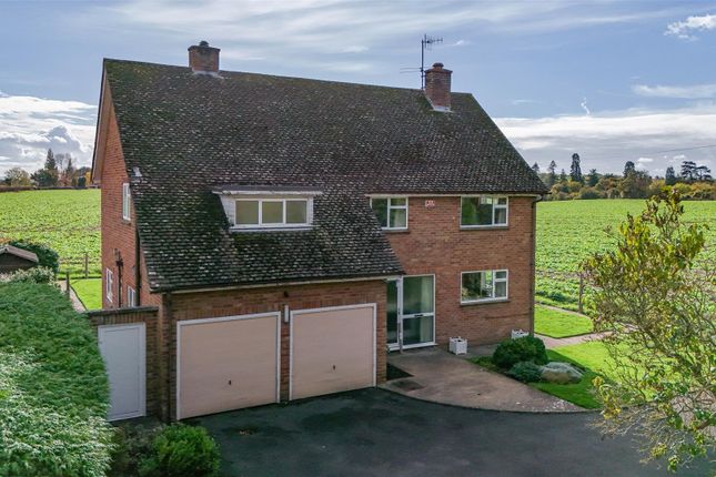 Dji_Fly_20251022_113654_0244_1761561786946_Photo-2