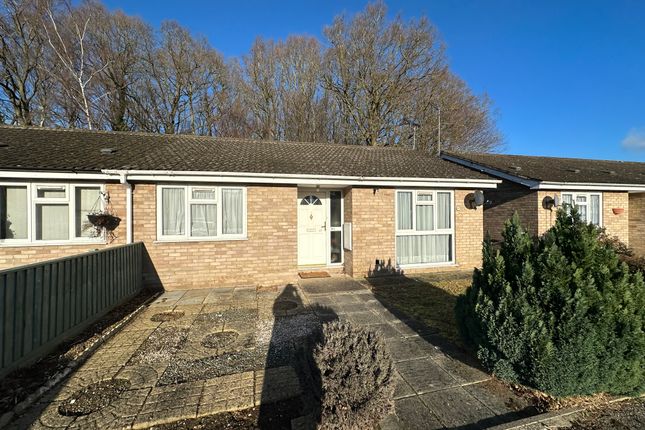 Thumbnail Bungalow to rent in Lime Close, Mildenhall, Bury St. Edmunds
