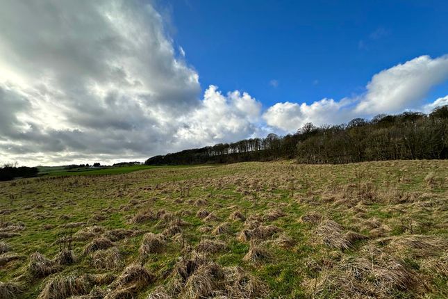 Thumbnail Land for sale in Land At Balmaghie, Castle Douglas