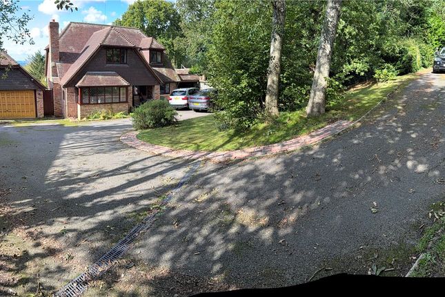 Front And Driveway