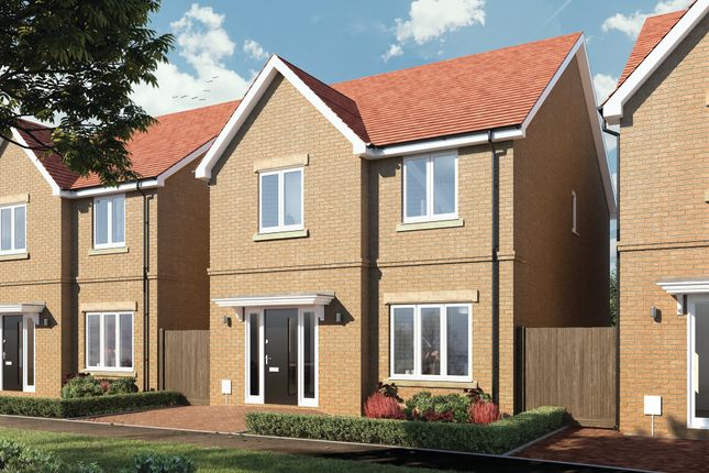 Thumbnail Detached house for sale in "Holme" at Jones Hill, Hampton Vale, Peterborough
