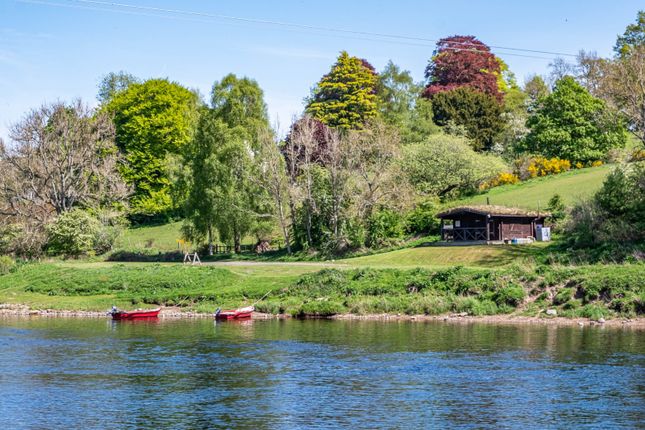 River Tay Salmon Fishings,, Cargill, Perthshire photo 4