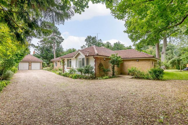 Thumbnail Bungalow for sale in Bolney Road, Henley-On-Thames
