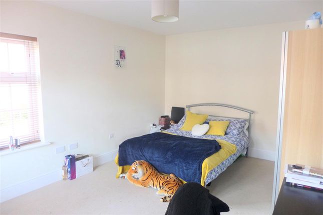 Room in 29, Leader Street, Bristol photo 5