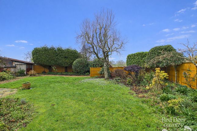 Shute Cottage, Taunton photo 2