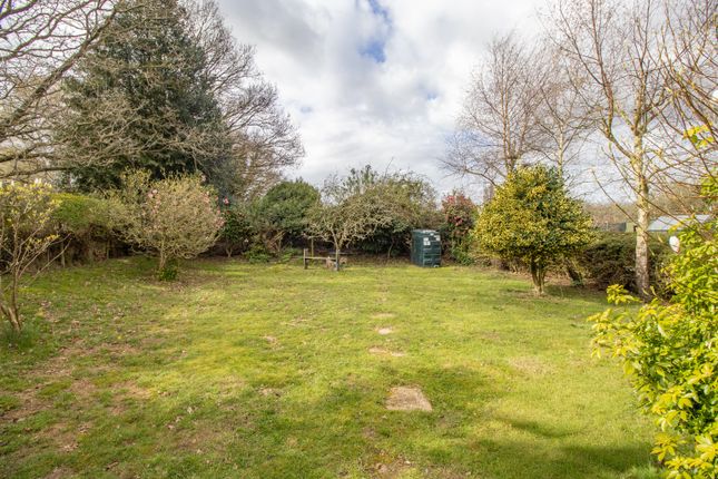 14 Manorside, Dersingham, Norfolk photo 3