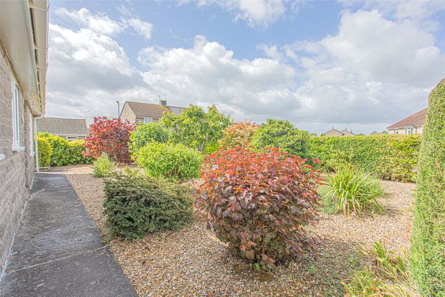 8, Stanchester Way, Somerset photo 3