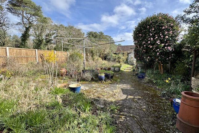 Fairmile, Thursley Road, Elstead photo 2