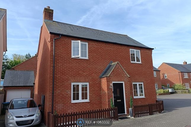 Thumbnail Detached house to rent in Silk Close, Buckingham