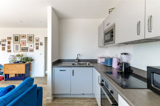 Ardisia Mews, London photo 4