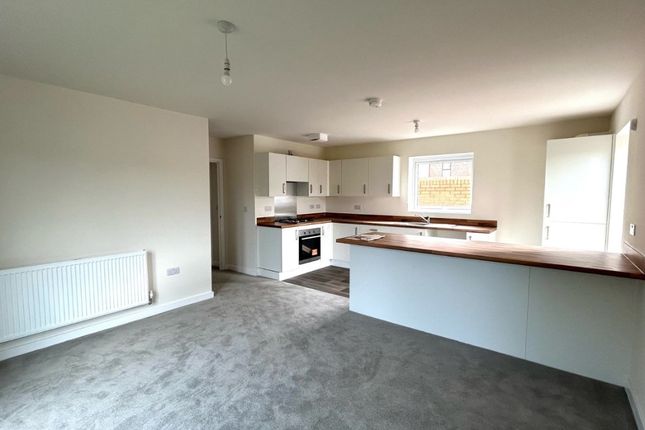 29, Foxglove Way, Doncaster photo 3