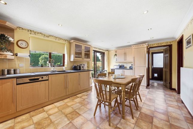 7 Daintrees Road, Cambridge photo 4