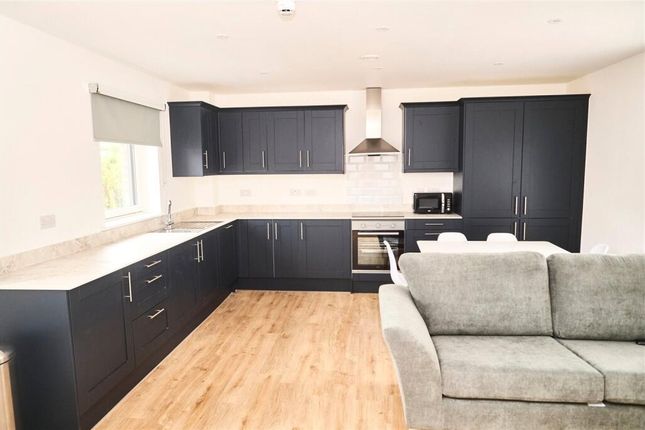 Modern Kitchen With Sleek Black Cabinetry, Ample c...