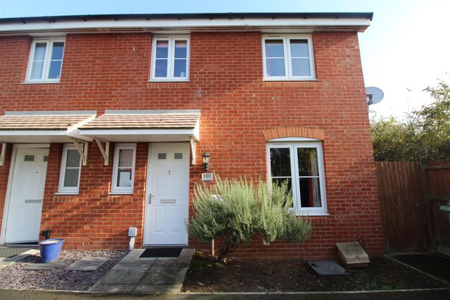Thumbnail Property to rent in Ffordd Nowell, Penylan, Cardiff