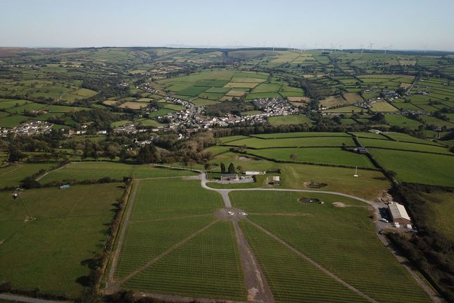 Sticle Vineyard
