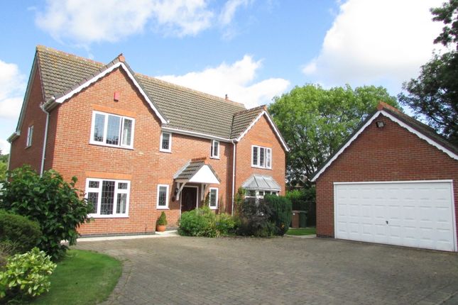 Thumbnail Detached house to rent in Millwood Gardens, Longthorpe