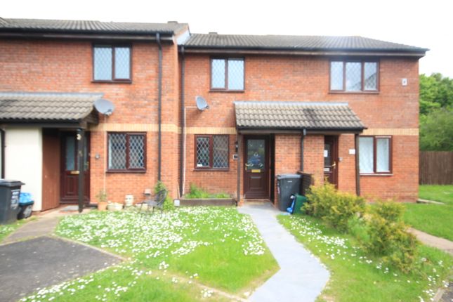 Terraced house to rent in Tyne Park, Taunton