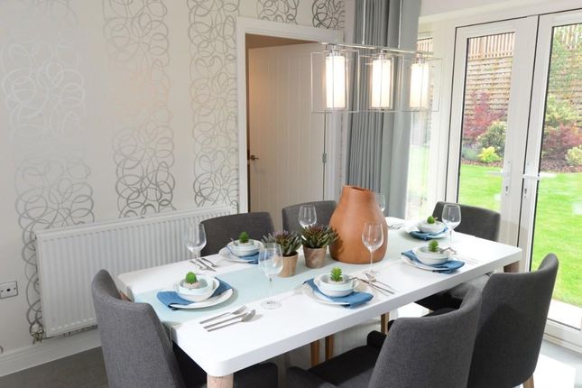 79, Beveridge Lane, Ellistown photo 4