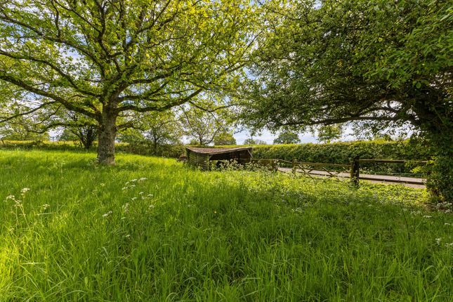 Bulls Brook Cottage, Snailing Lane, Greatham photo 4