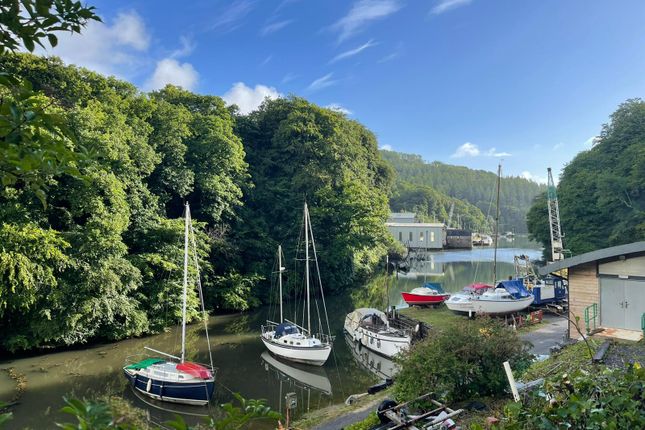 Thumbnail Land for sale in Old Mill Lane, Dartmouth