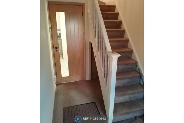 Dynevor Avenue, Llandeilo photo 4