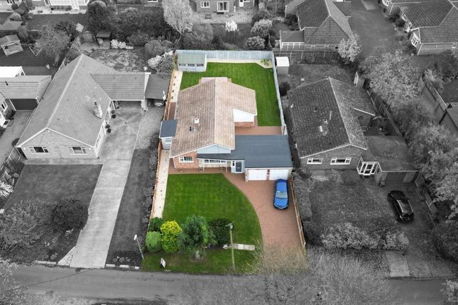 Untitled Design - 2025-11-06T163105.130.Jpg