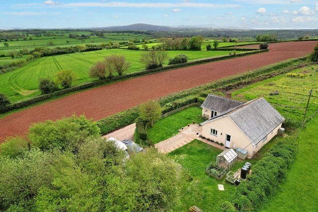 Detached bungalow for sale in North Tawton