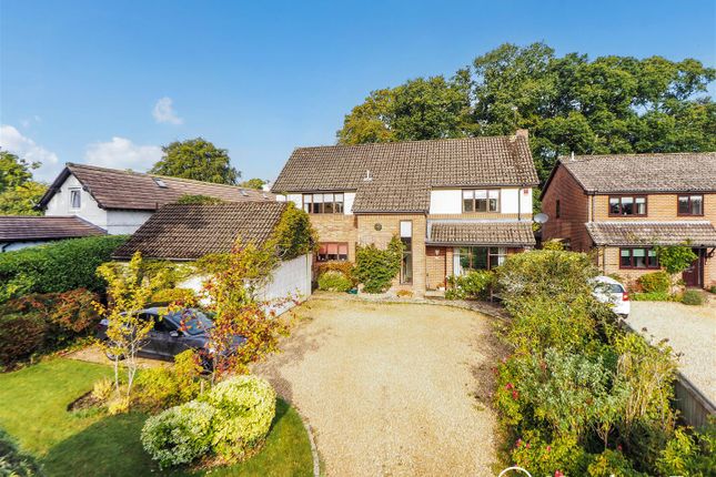 Ph42_6209777 - Copy.Jpg