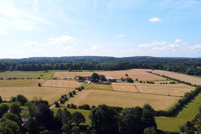 Hollybank, The Warren, Ashtead photo 2