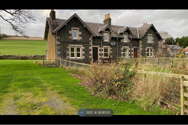 Thumbnail Semi-detached house to rent in Blackhaugh Farm Cottages, Galashiels