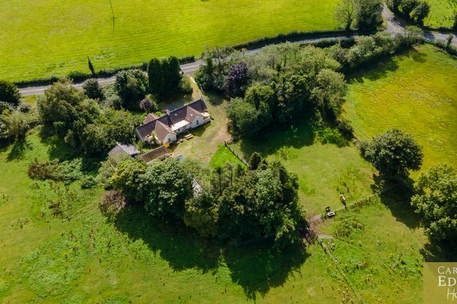 South Meadows, 93 Mealough Road, Belfast photo 5