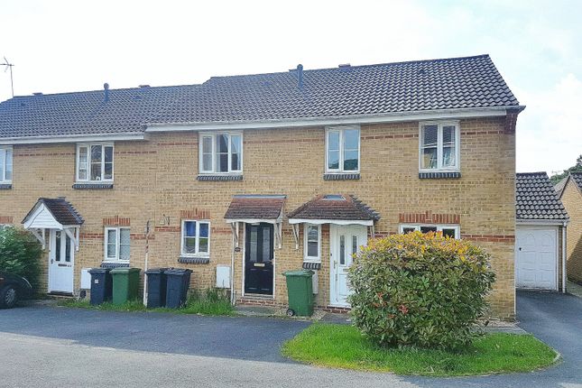 Thumbnail Terraced house to rent in Lovage Road, Whiteley, Fareham