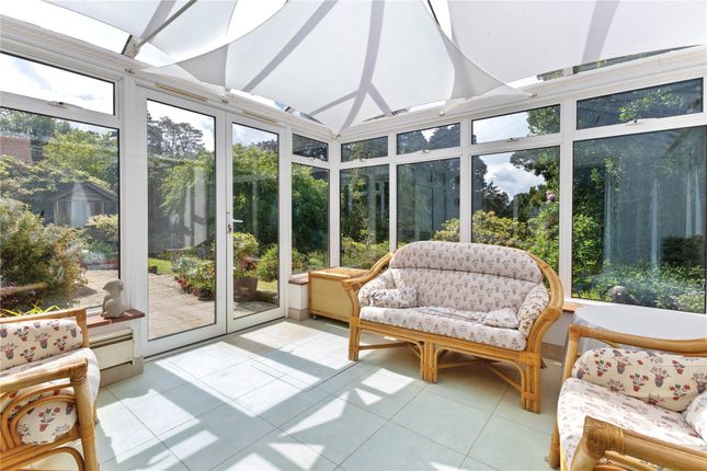 Cheviot,, Linkside West, Surrey photo 4