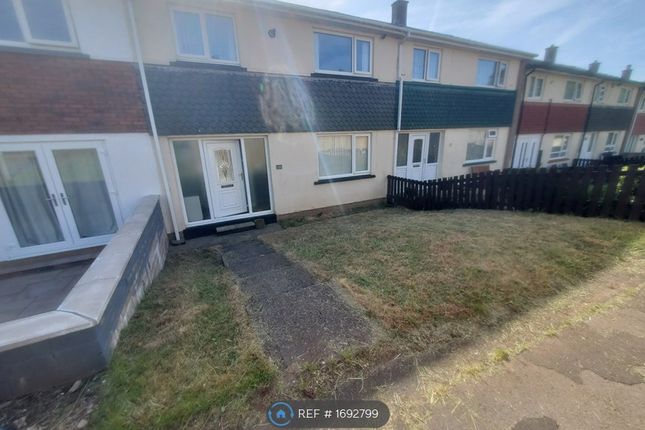 Thumbnail Terraced house to rent in The Willows, Egremont