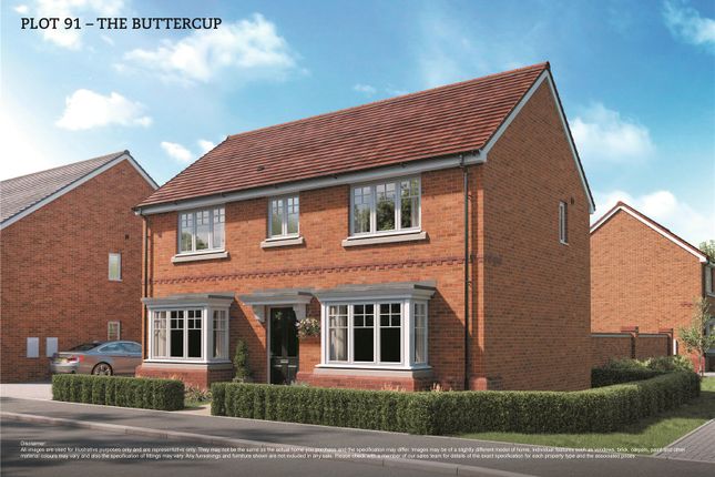 Thumbnail Detached house for sale in Hedges Drive, Humberston, Grimsby, Lincolnshire