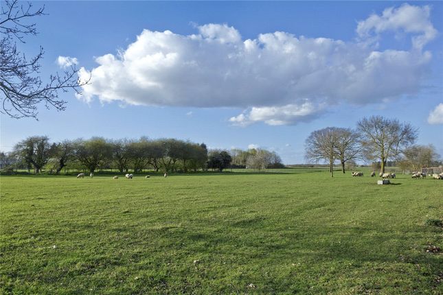 Land for sale in Steeple Chase Farm (Whole), Beach Road, Cottenham, Cambridge