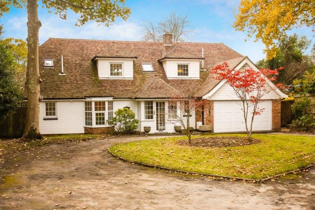 Homes For Sale In Battle East Sussex Buy Property In Battle