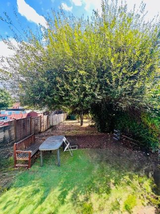 A Spacious And Sunlit Garden Area Featuring A Larg...