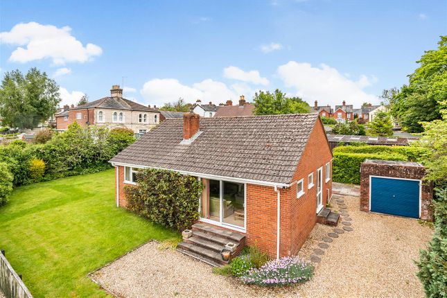 Thumbnail Detached bungalow for sale in Percy Gardens, Blandford Forum